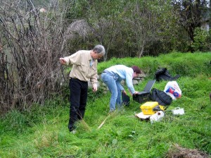 Pontegiacomo - Indagini geognostiche preliminari 